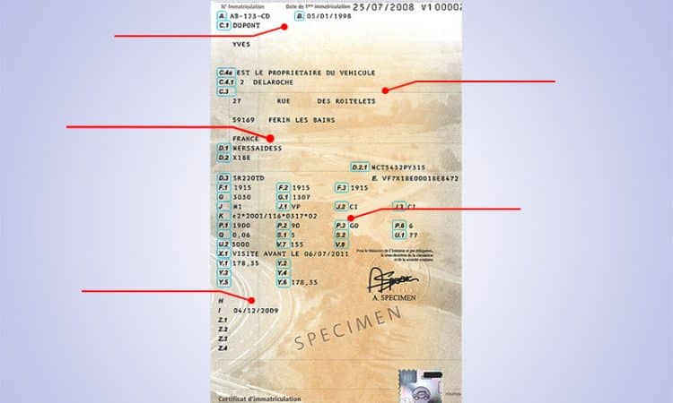 les chevaux sur une carte grise