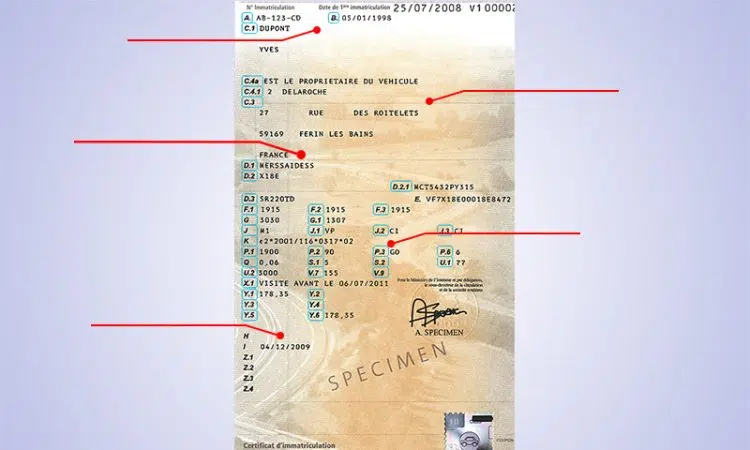 les chevaux sur une carte grise 