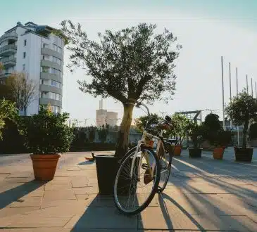 beige bike near plants and trees