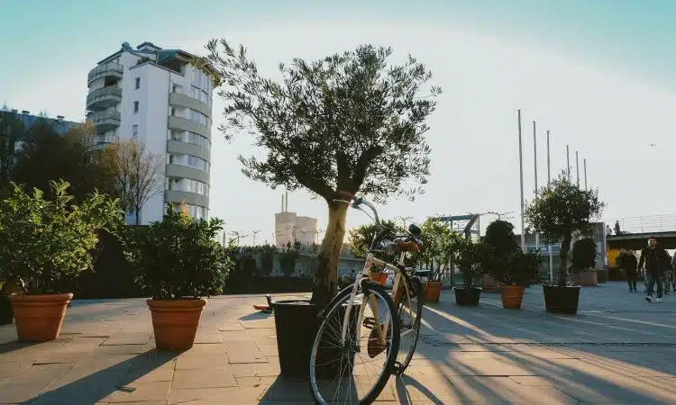 beige bike near plants and trees